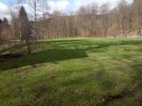 IMG_20240317_102415 (1024x768).jpg